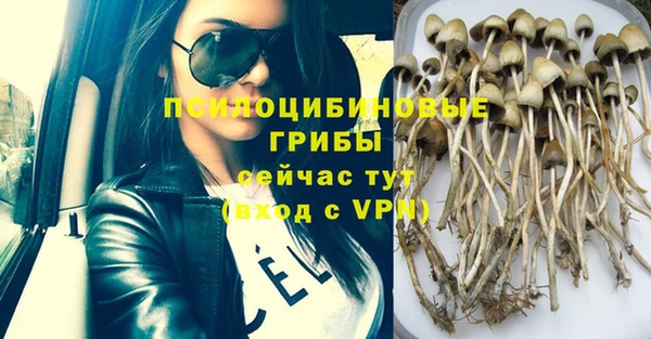 прущие крисы Елабуга