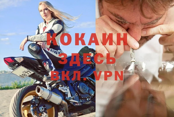 винт Ельня