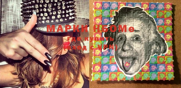 винт Ельня