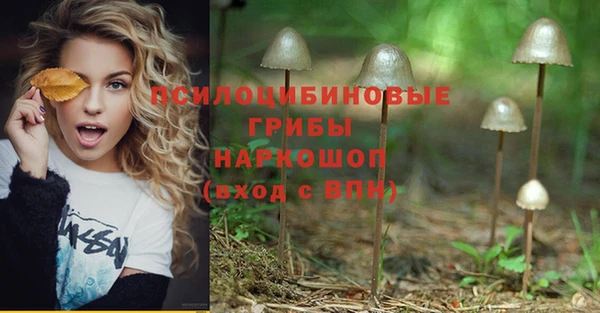 винт Ельня