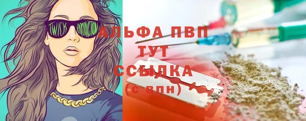 стаф Заводоуковск
