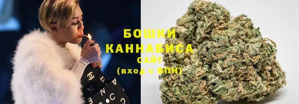 прущие крисы Елабуга